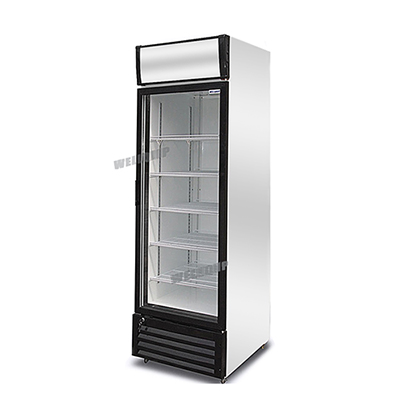 New Upright Display Fridge 430L - G40A (p430wa) - Click Image to Close